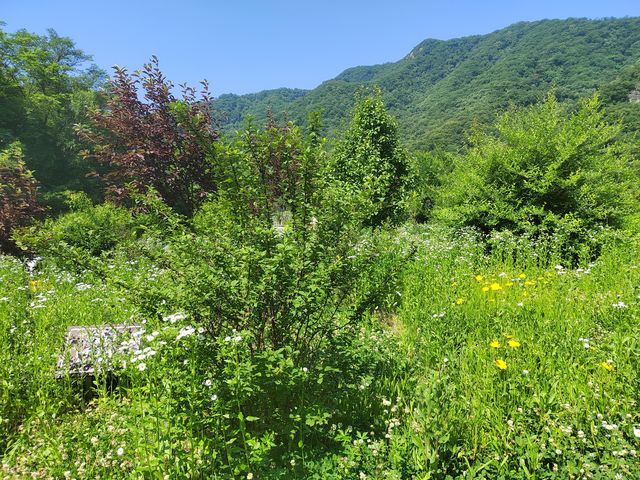 偶遇“鴉鶻關”，路上棲息地，弄得真不錯！