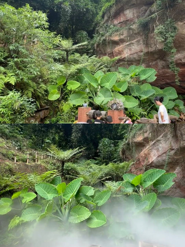 被問爆了的峽谷，可划船攀岩