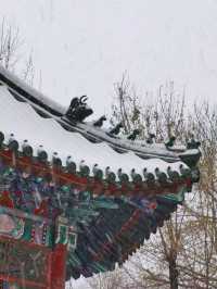 白雪映古建，岁晏尘事歇——雪舞天津老建筑