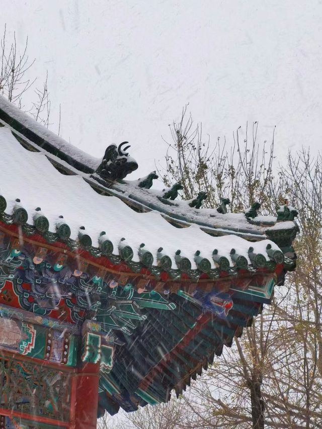 白雪映古建，岁晏尘事歇——雪舞天津老建筑