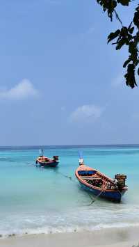 去麗貝島，小馬代名不虛傳