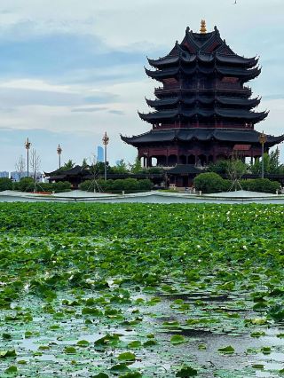 Suzhou is not just about the beauty of its gardens; these ancient temples hold secrets of a thousand years