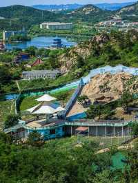 威海神雕山野生動物園 觀萌獸遊玩一天的攻略