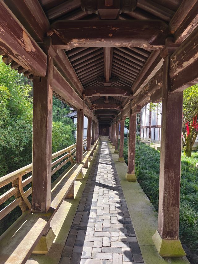 這裡有可以俯瞰千島湖全景的魁星樓