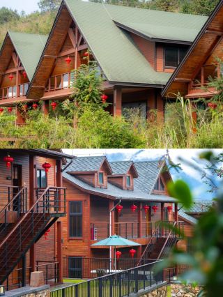 Surrounding Guangzhou and Shenzhen | Stay in a breathable wooden house in the Qingyuan Forest Oxygen Bar