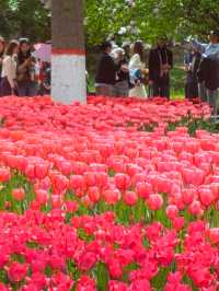 在人民公園“郁”見浪漫