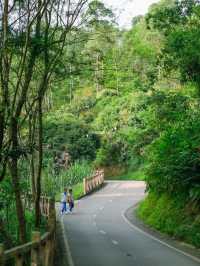 深圳小眾徒步路線，連接公園古鎮的舒適之旅🌳🏘