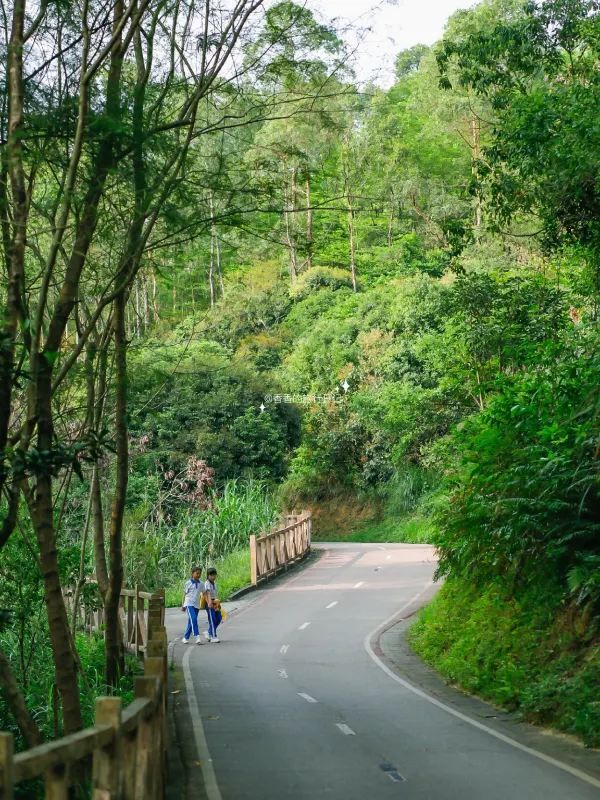 深圳小眾徒步路線，連接公園古鎮的舒適之旅🌳🏘