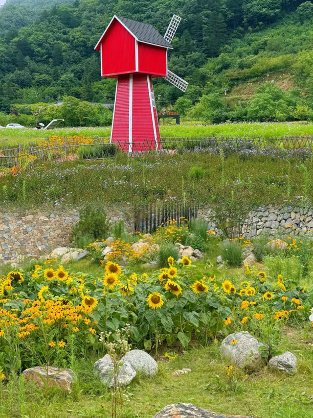 這是一個適合放鬆心情、享受小鎮生活的愜意地方
