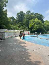 杭州citywalk虎跑公園，動物園，兒童樂園