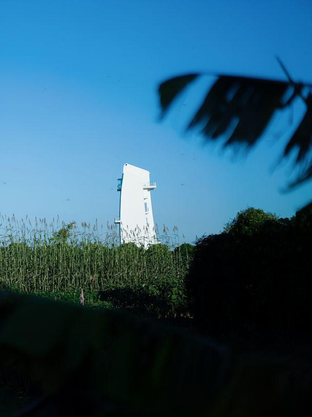 問爆朋友圈的民宿住進現實版的綠野仙蹤