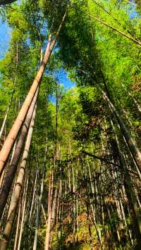 寧波周邊｜仙居公盂村徒步，有山有水有竹林