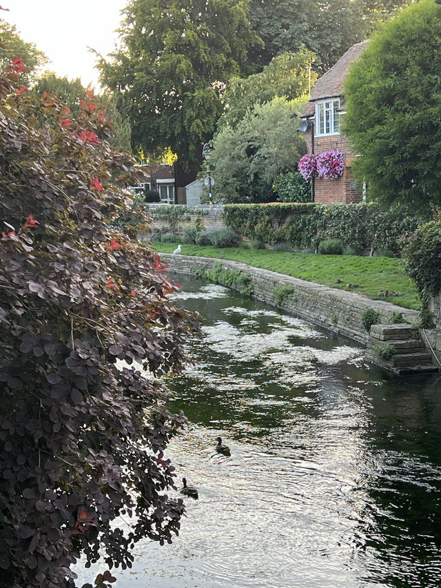 Canterbury is a small town in UK 🇬🇧 check out the nature 🩷