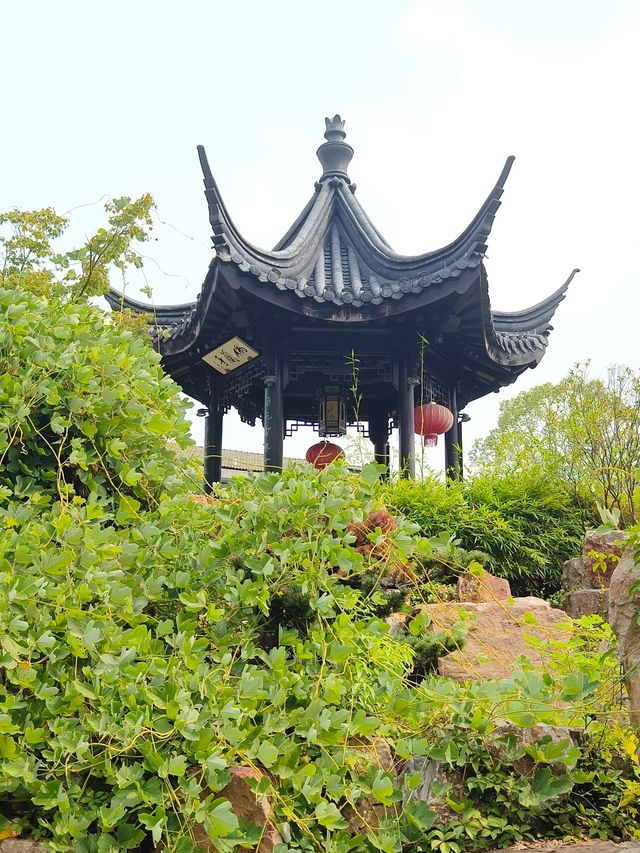 與南京的園子同名的芥子園