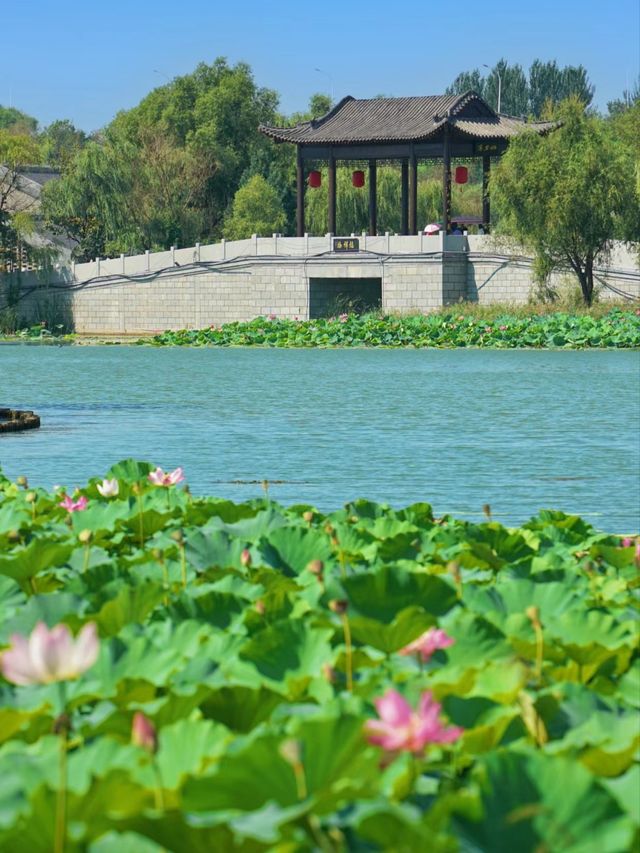 都以為我去了蘇杭，沒想到竟是吉林長春