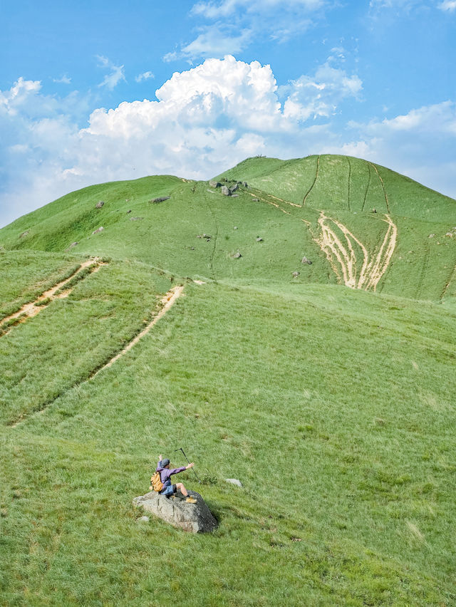 深圳公交直達山頂草原，被山上的風治癒（附攻略）。