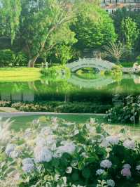 呢度就係四川現實版嘅莫奈花園。