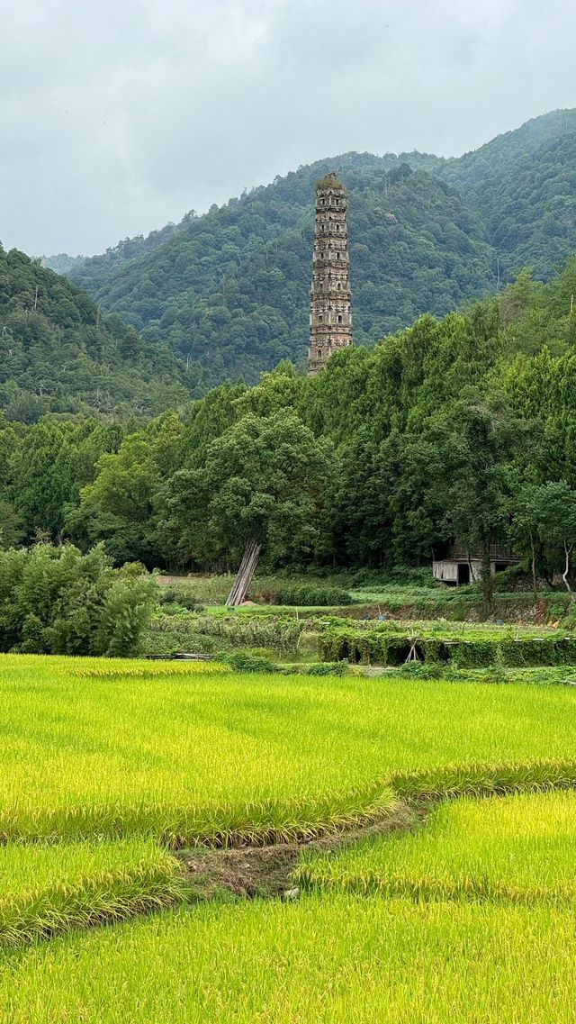 微雨天遊覽國清寺,以下是一些小貼士。