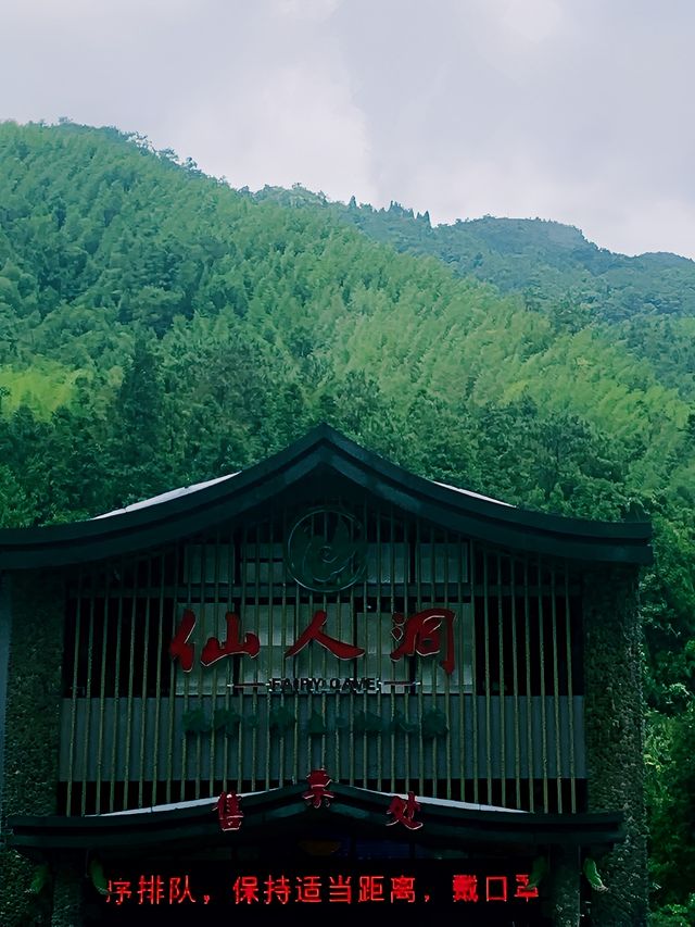 仙人洞景區內的自然生態保育良好,有稀有植物如禾雀花藤王等。 仙人洞景區內的自然生態保育良好,有稀有植物如禾雀花藤王等。