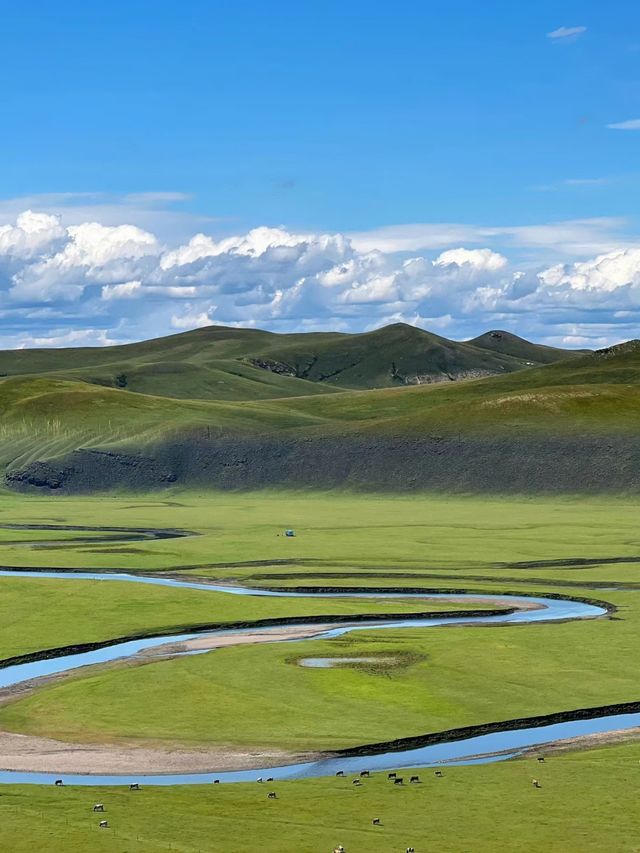 莫爾格勒景區，呼倫貝爾草原禁止焦慮。。