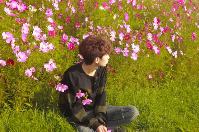 貴陽周邊遊-花溪高坡雲頂花海🪻。