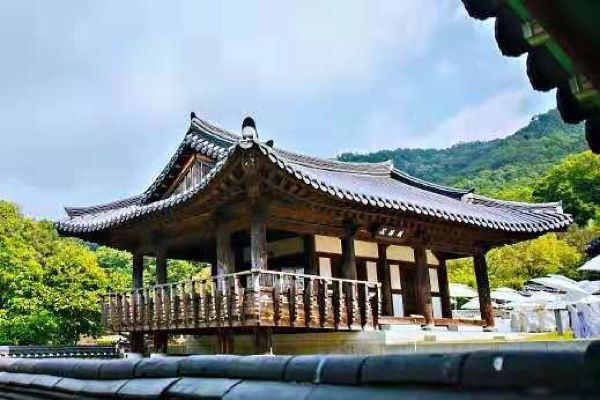 又松日常/尤庵史蹟園地探訪。