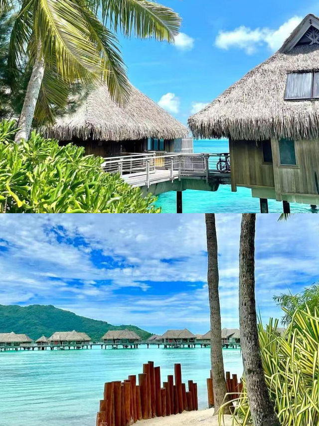 大溪地，海島天花板名不虛傳！！||。