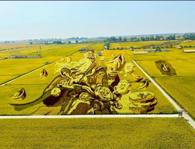 稻夢之境，田園奇景，一個不可以錯過的地方。