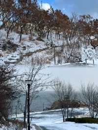 開始期待下雪的威海了！很冷又很浪漫。