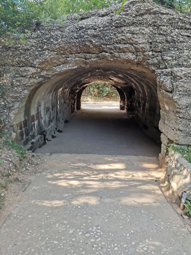 參觀東雞冠山日俄戰爭遺址。
