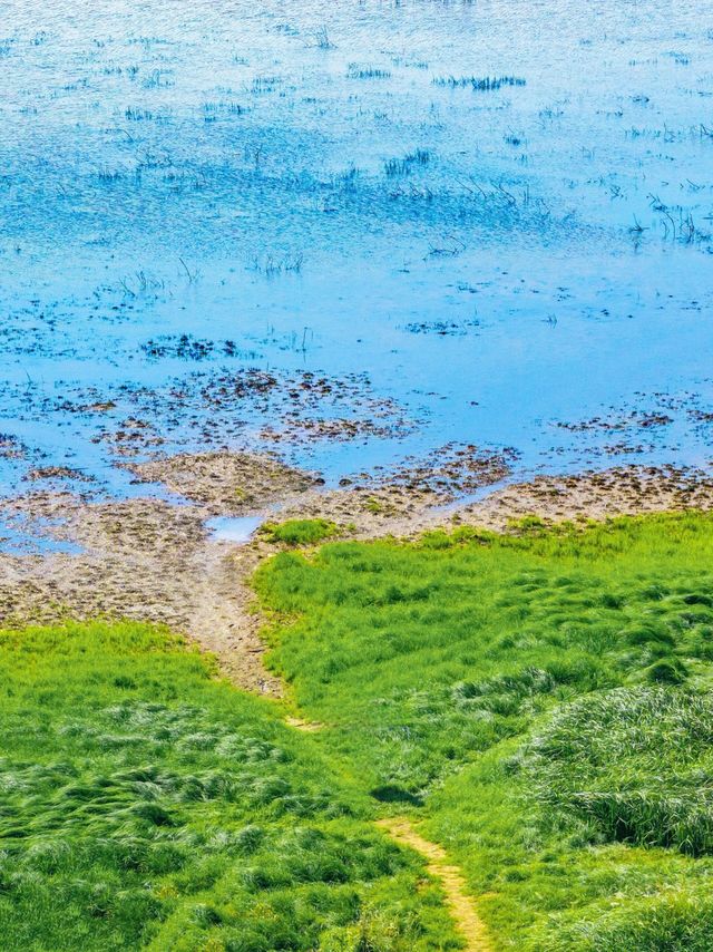 江西永修南昌後花園的草海秘境。