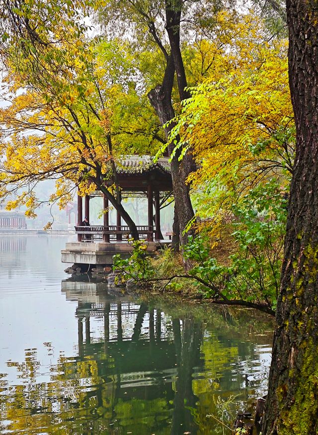 中國最大的古典皇家園林—承德避暑山莊。