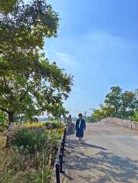 可以衝嘉北郊野公園的稻田（附保姆級攻略）。