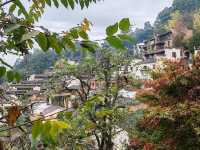 婺源篁嶺，一個美麗且富有特色的旅遊地，以下是一份遊玩攻略供您參考。