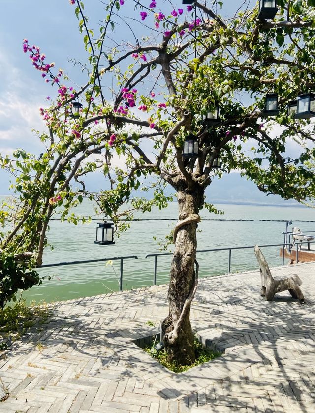 一家海島落日西餐廳。