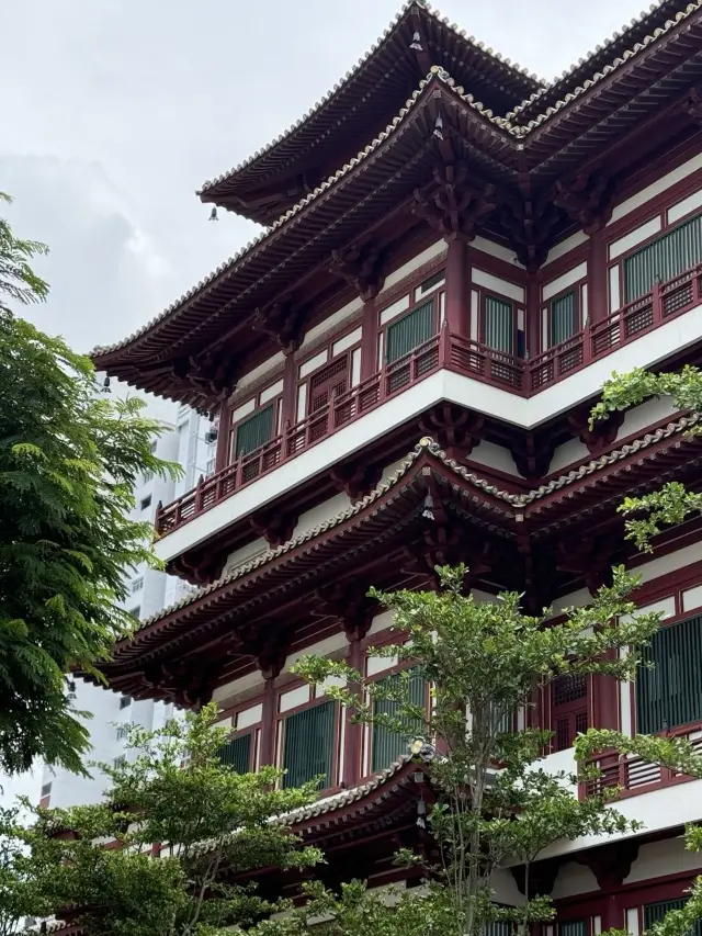 스리랑카 8일 여행 무비자 완벽 가이드.