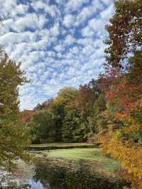 Autumn is the most beautiful season!! 