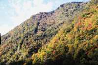 四川小眾紅葉秘境一藏在山裡的扒昔加古寨。