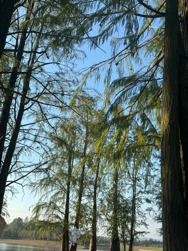 撫州2日遊 玩轉全城的秘密攻略。