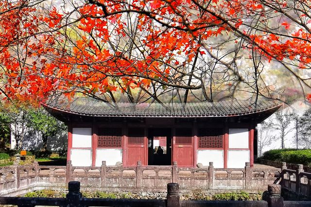 武義縣延福寺。