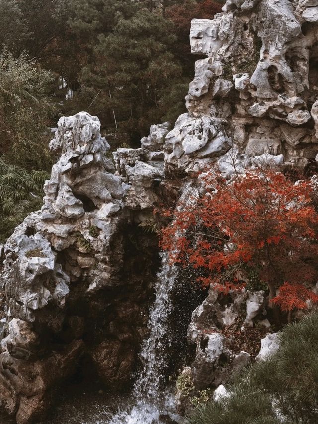 More than Just Mountains in Downtown SH!