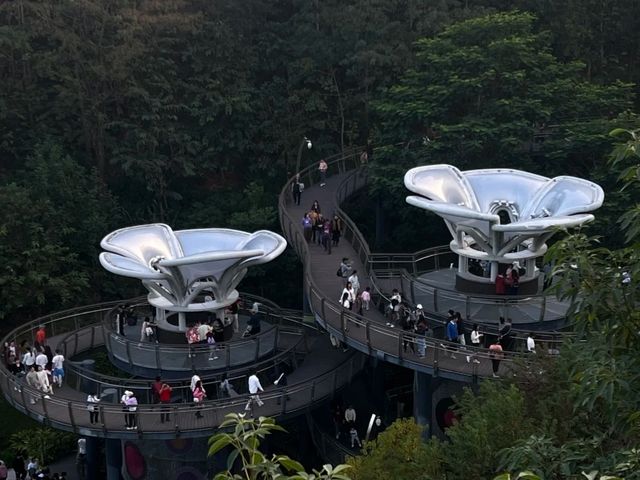 廣州白雲｜雲蘿植物園