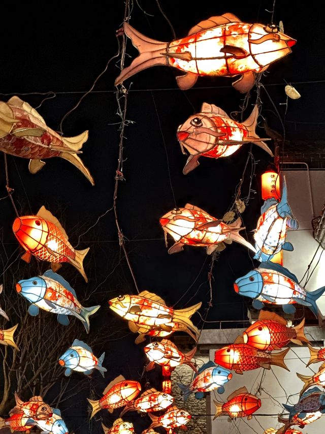 饒州古鎮：一步一景，歷史的活畫卷！