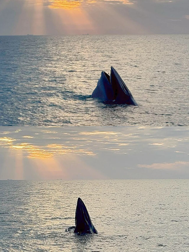 拜託冬季才是涠洲島的正確打開方式