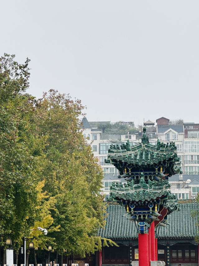 紅牆綠瓦故宮風—鄭州文廟