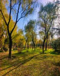 西安滻灞國家濕地公園