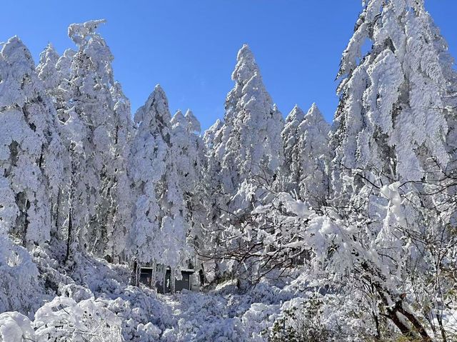 瓦屋山週末遊