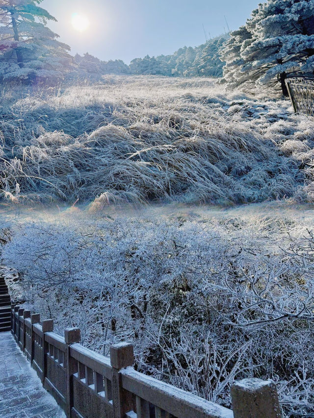 懶人一日遊黃山攻略不廢腿，少走路