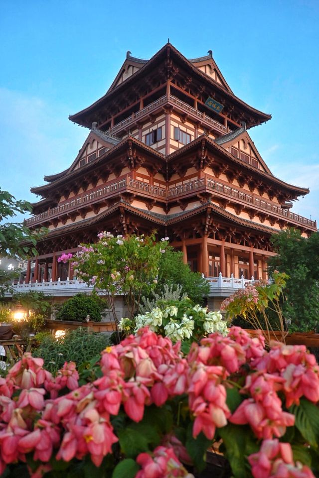 為了這個花景 | 專程來了趟柳州