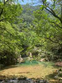 肇慶爛柯山探秘一場穿越時空的山水之旅